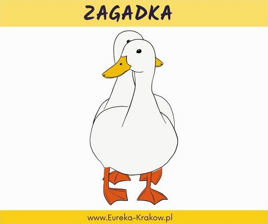 Idą gąski
